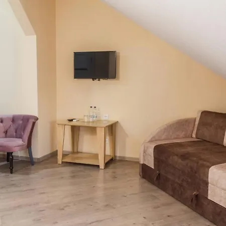 Hostynnyy Dvir Hotel Stryj